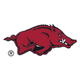 University of Arkansas logo