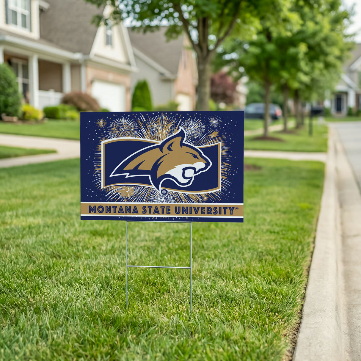 https://asset.productmarketingcloud.com/api/assetstorage/3909_51ccb4ca-dfca-498c-aea4-a7bfa6d3b758
