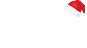 Team Sports America