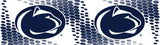 https://asset.productmarketingcloud.com/api/assetstorage/3909_0b772aa3-4e4c-4d59-8471-6e69f862b20f