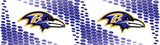 https://asset.productmarketingcloud.com/api/assetstorage/3909_44b901be-967a-41d2-bf66-59e918f20140